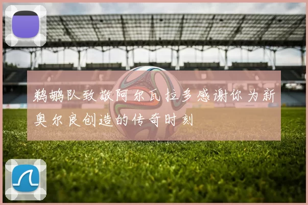 鹈鹕队致敬阿尔瓦拉多感谢你为新奥尔良创造的传奇时刻